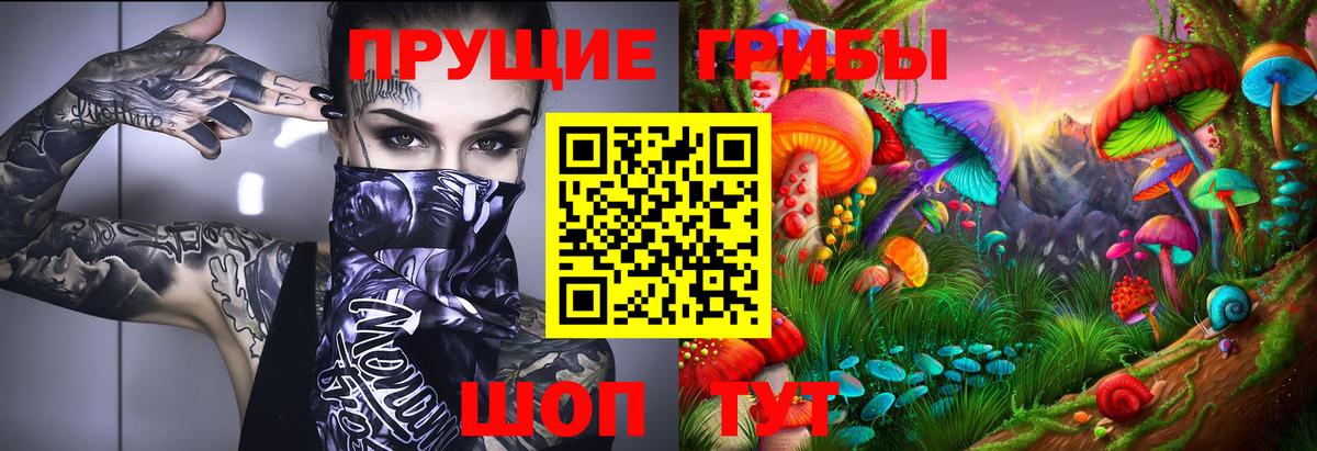 Минеральные Воды  Псилоцибиновые грибы мицелий  Галлюциногенные грибы Cubensis  Вход с VPN 
